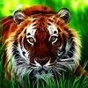 tigercavetreasu